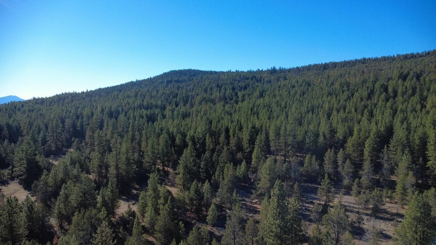 Lot. Photo 1 of 12, 000 KNA Picard/ Old State Hwy Road, Dorris, CA 96023