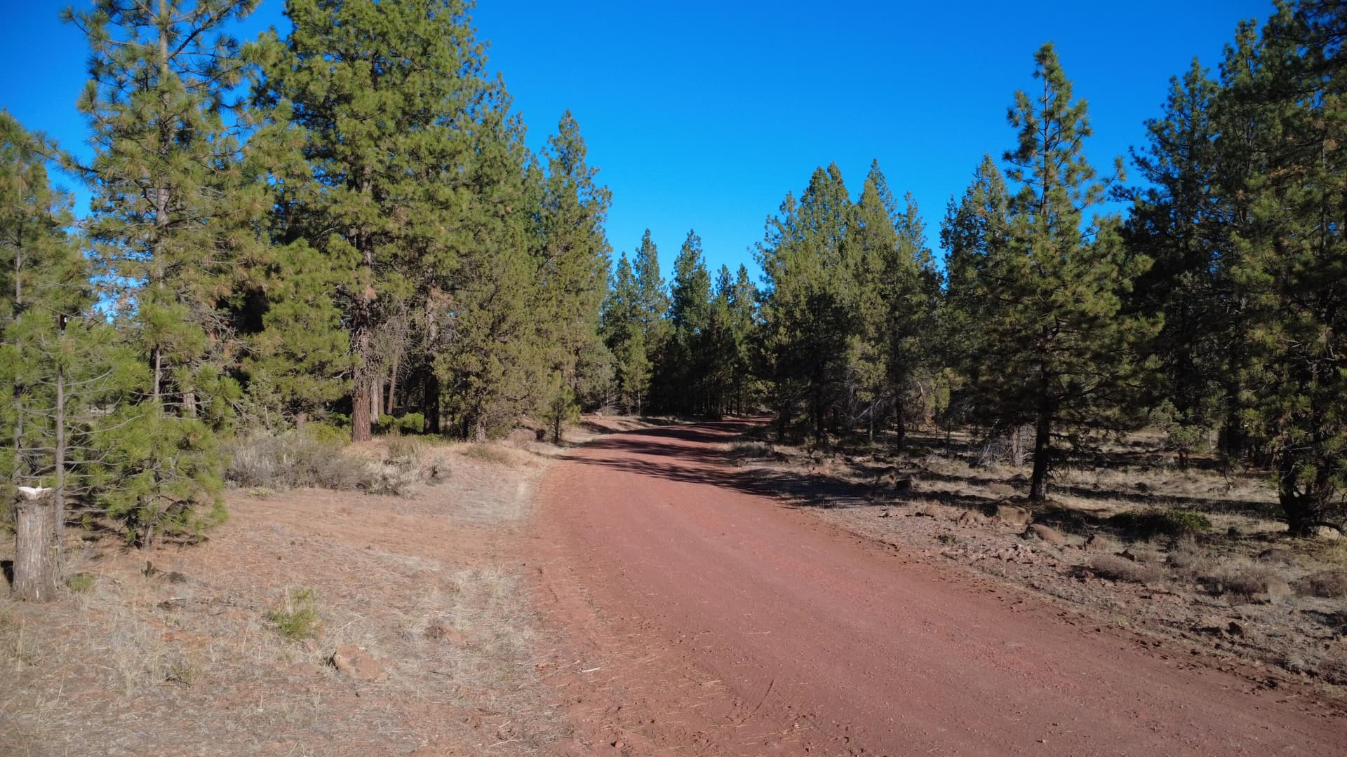 DJI_0058. Photo 5 of 12, 000 KNA Picard/ Old State Hwy Road, Dorris, CA 96023