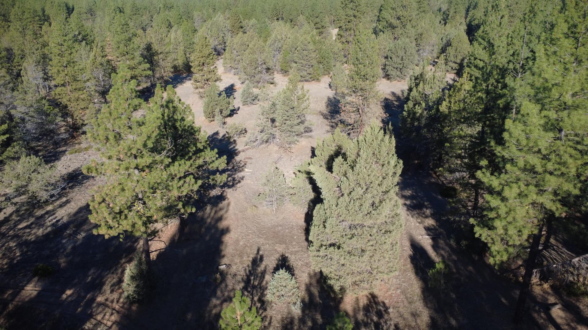 DJI_0061. Photo 4 of 12, 000 KNA Picard/ Old State Hwy Road, Dorris, CA 96023