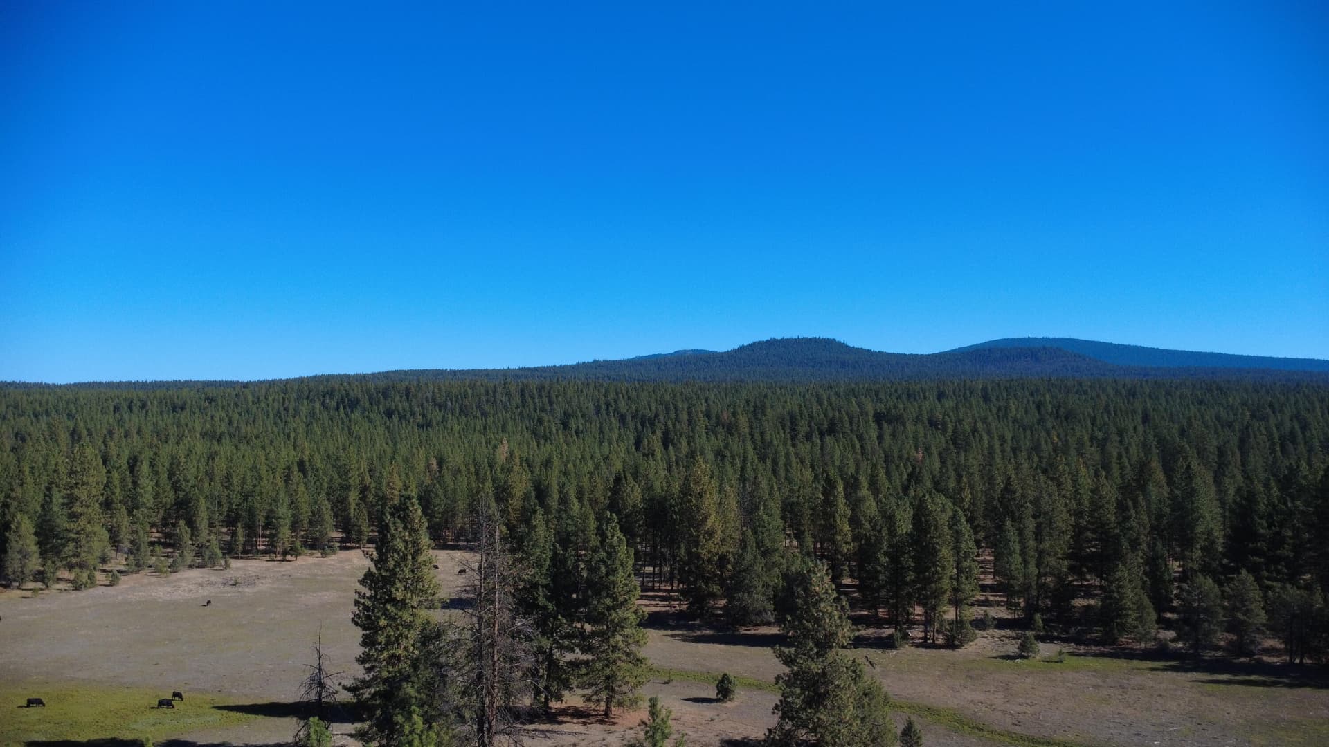 Property. Photo 4 of 81, 0 Hadwick Topsy Property, Klamath Falls, OR 97601