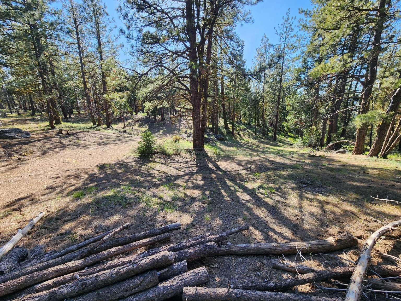 Young.2. Photo 2 of 19, 0 Beaver Lane, Bonanza, OR 97623