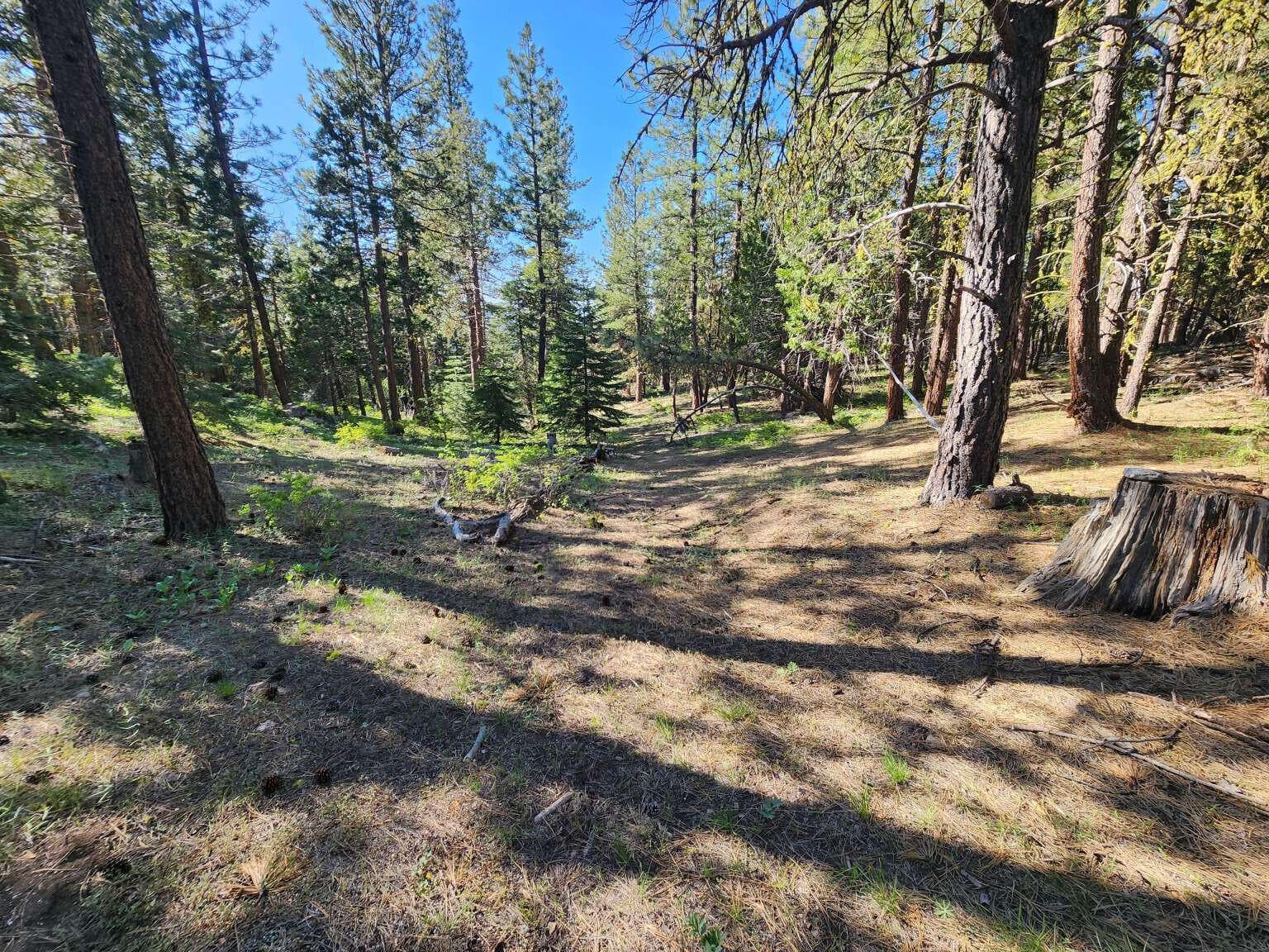Young.3. Photo 3 of 19, 0 Beaver Lane, Bonanza, OR 97623