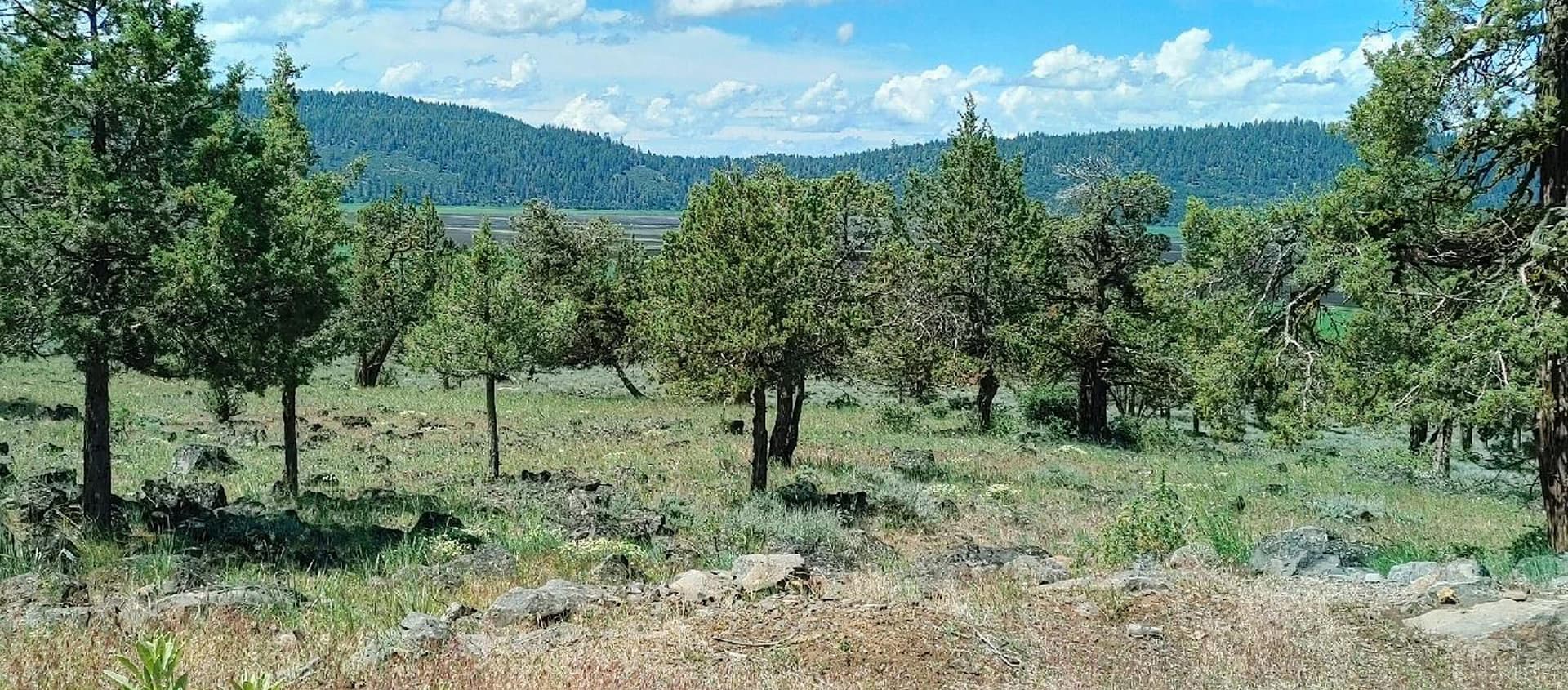 0607231134d95HDR. Photo 2 of 5, Fox Sparrow Drive Unit 1118, Klamath Falls, OR 97601