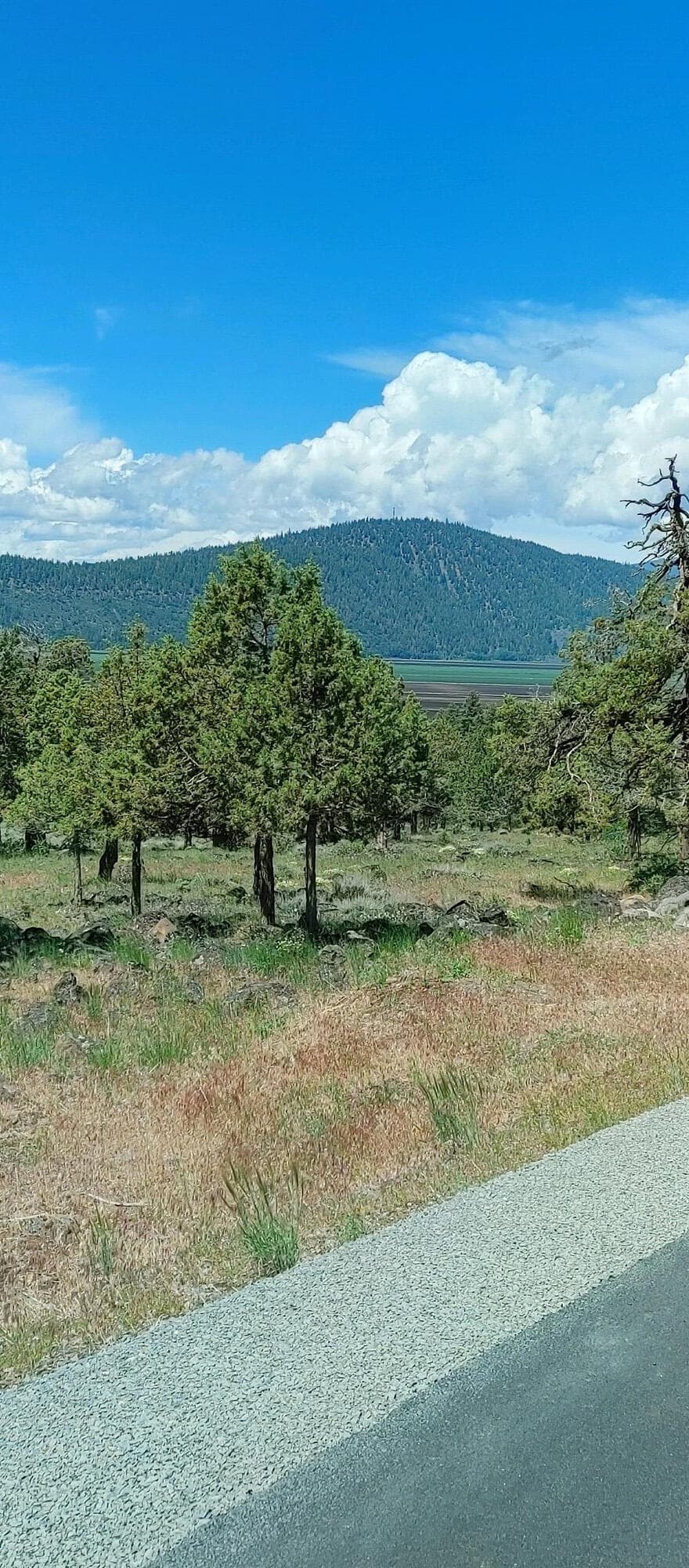 060723113495HDR. Photo 4 of 5, Fox Sparrow Drive Unit 1118, Klamath Falls, OR 97601