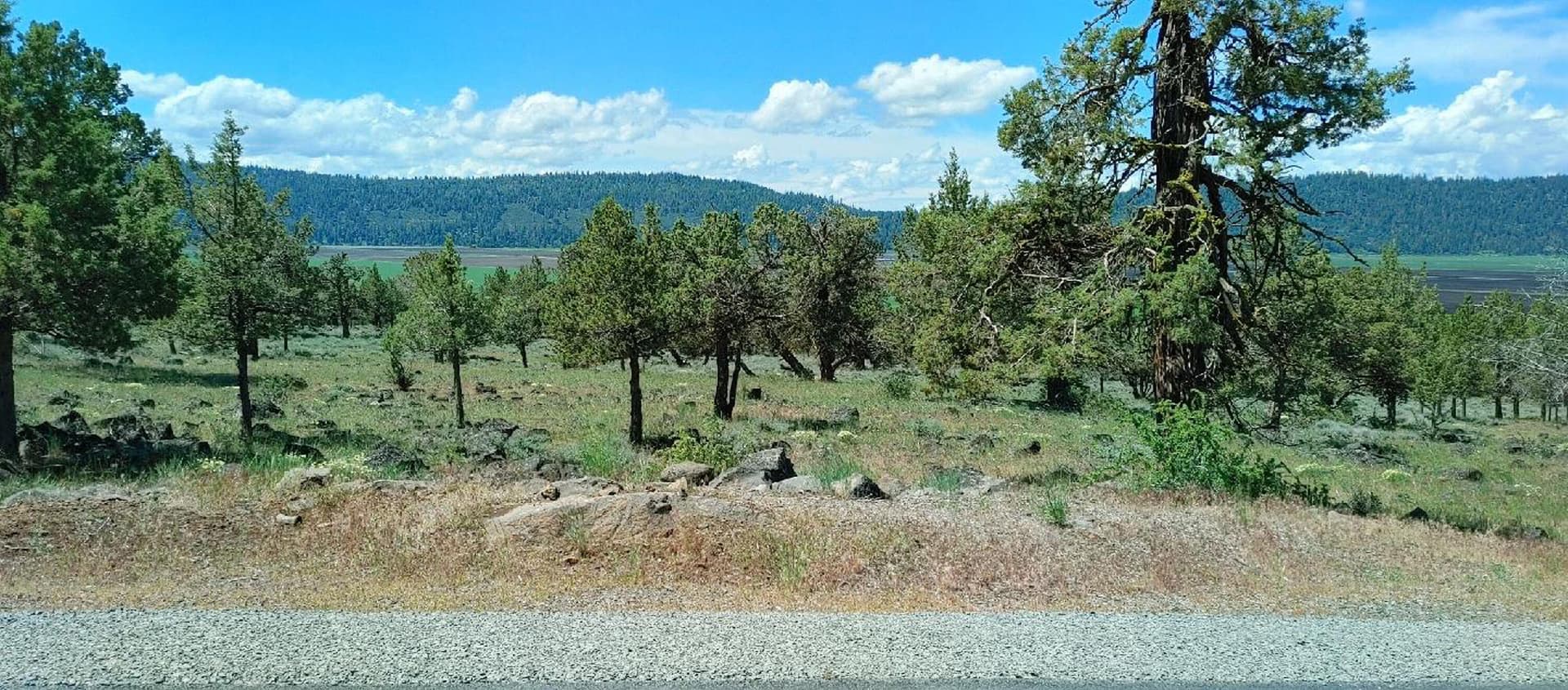 060723113895HDR. Photo 5 of 5, Fox Sparrow Drive Unit 1118, Klamath Falls, OR 97601