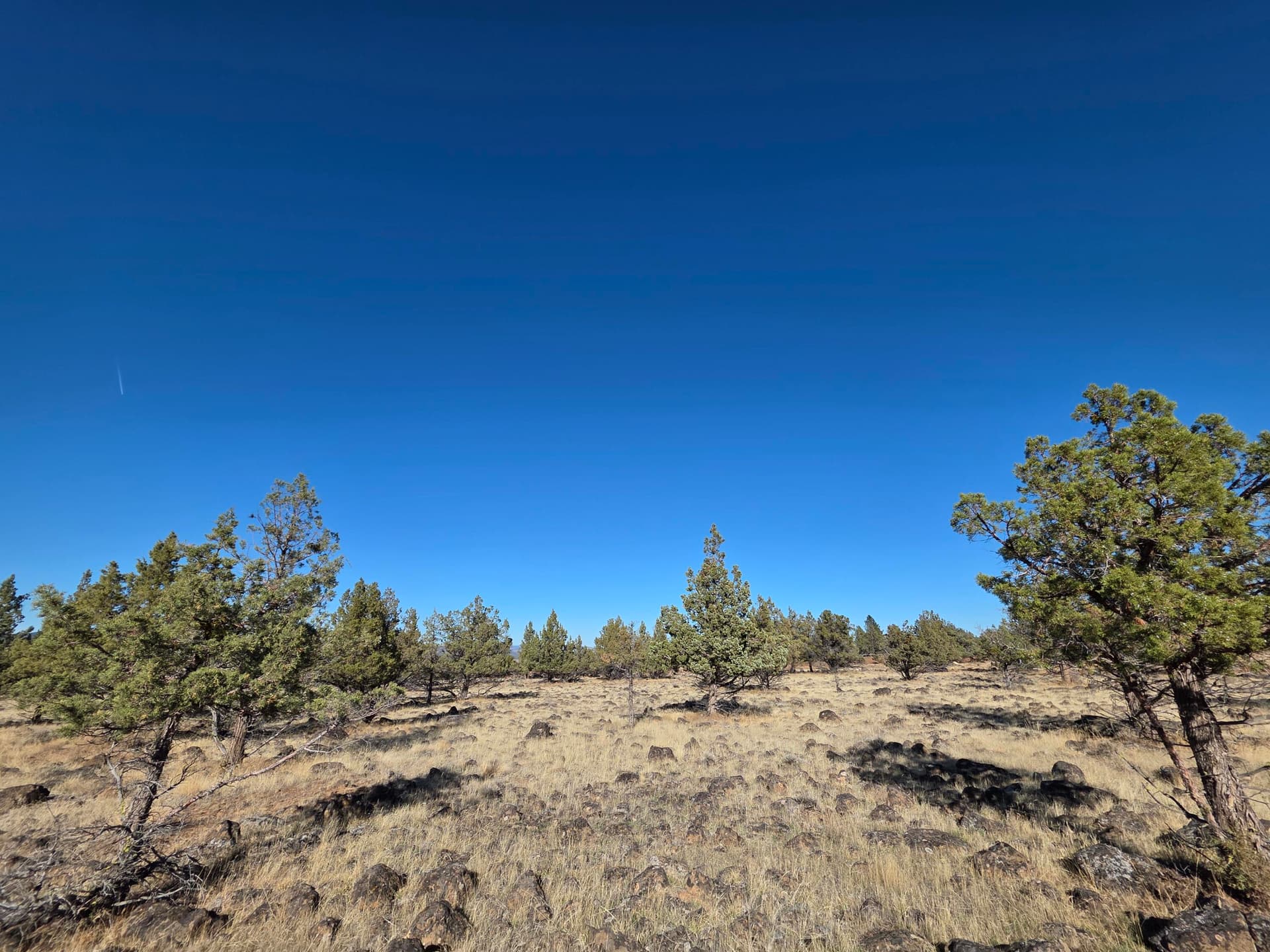 19350. Photo 4 of 6, 0 Cedar Trail Unit 4008-01700-0900, Klamath Falls, OR 97603