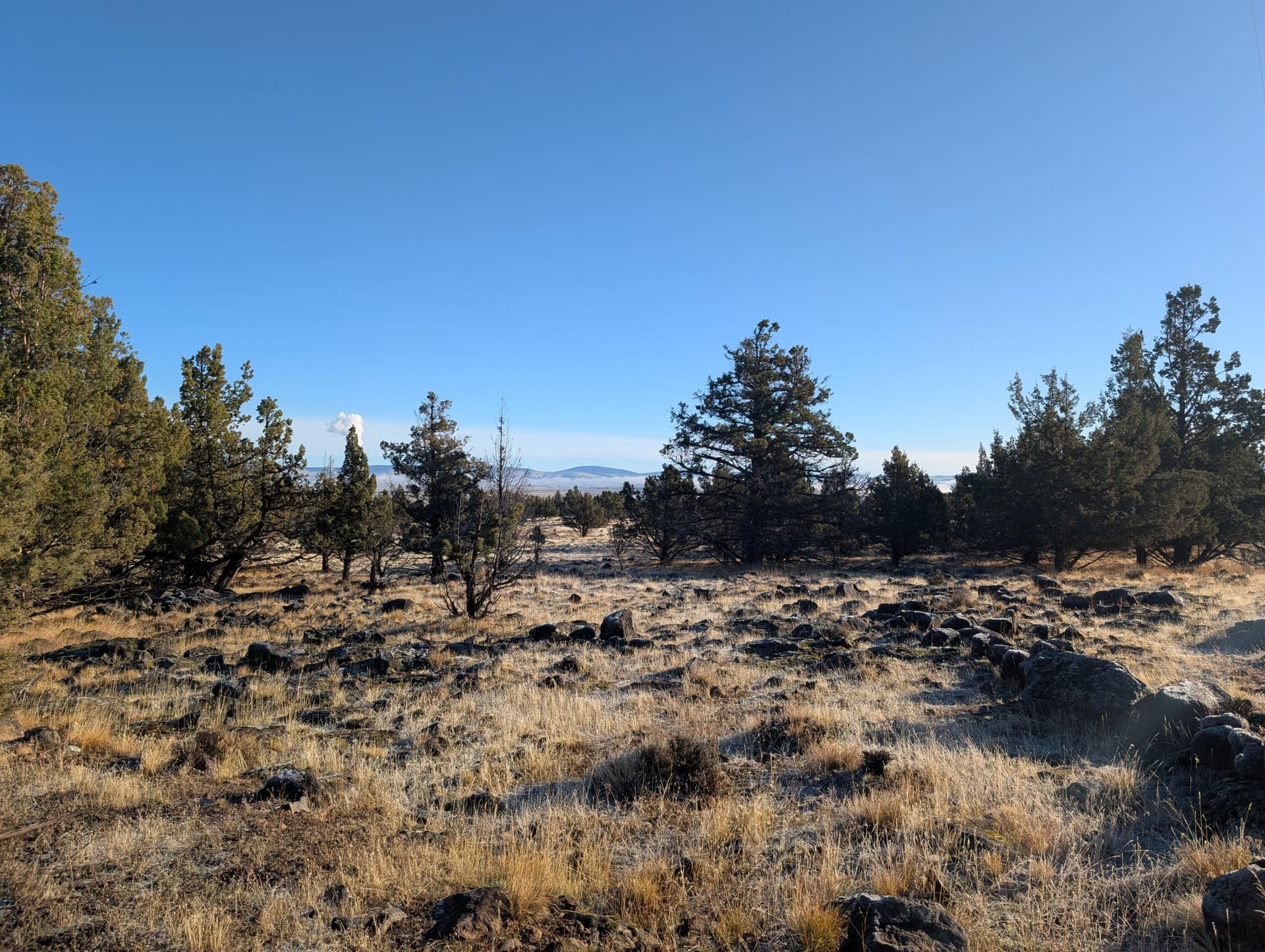 PXL_20251027_161535752.MP. Photo 2 of 24, Cedar Trails Unit Lot 4, Keno, OR 97627