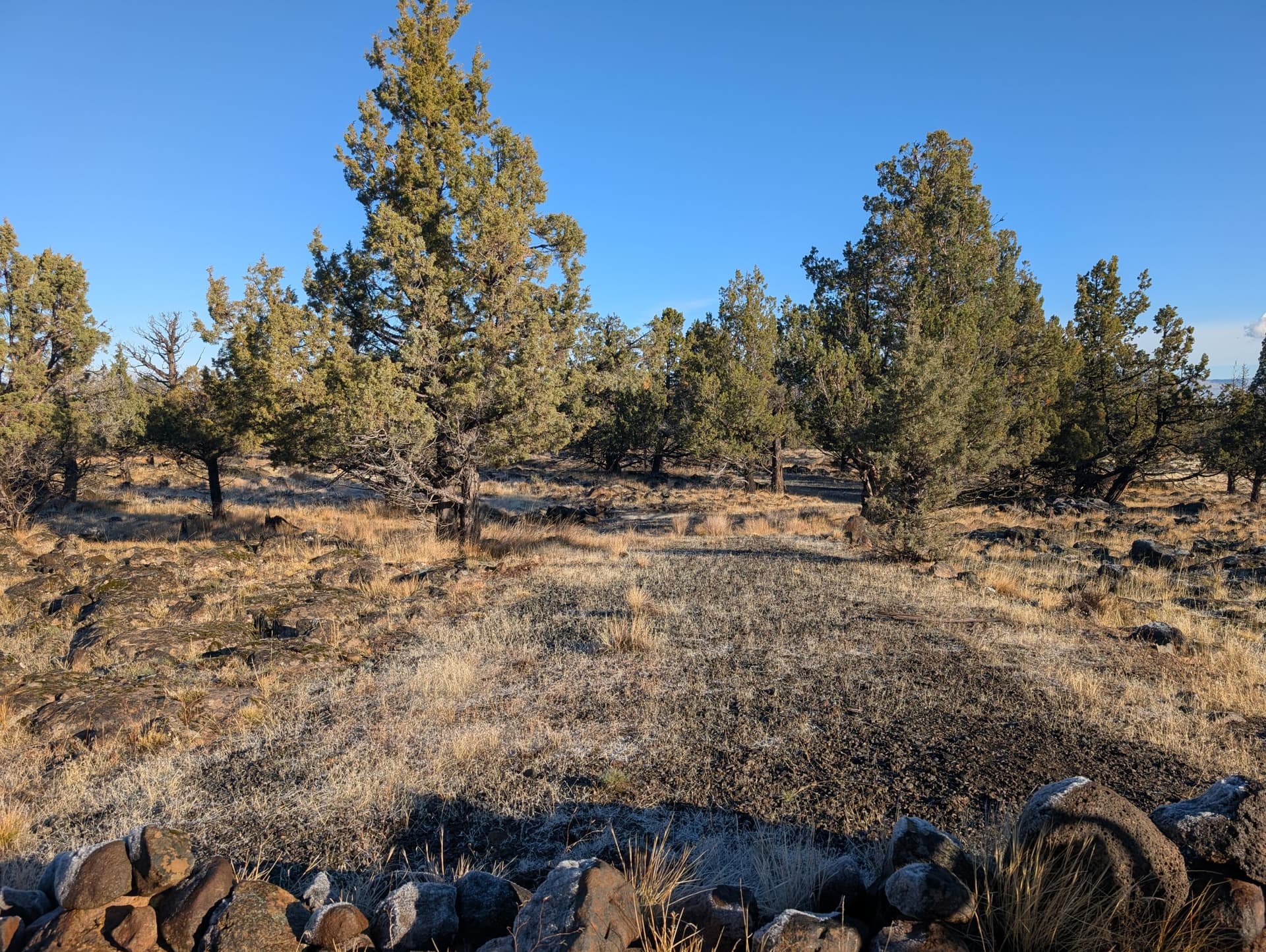PXL_20251027_161529721. Photo 1 of 24, Cedar Trails Unit Lot 3, Keno, OR 97627