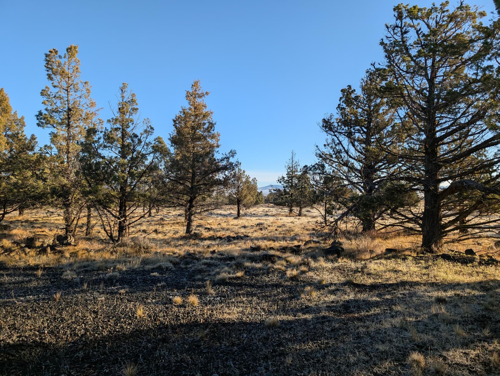 PXL_20251027_161653661. Photo 4 of 24, Cedar Trails Unit Lot 3, Keno, OR 97627