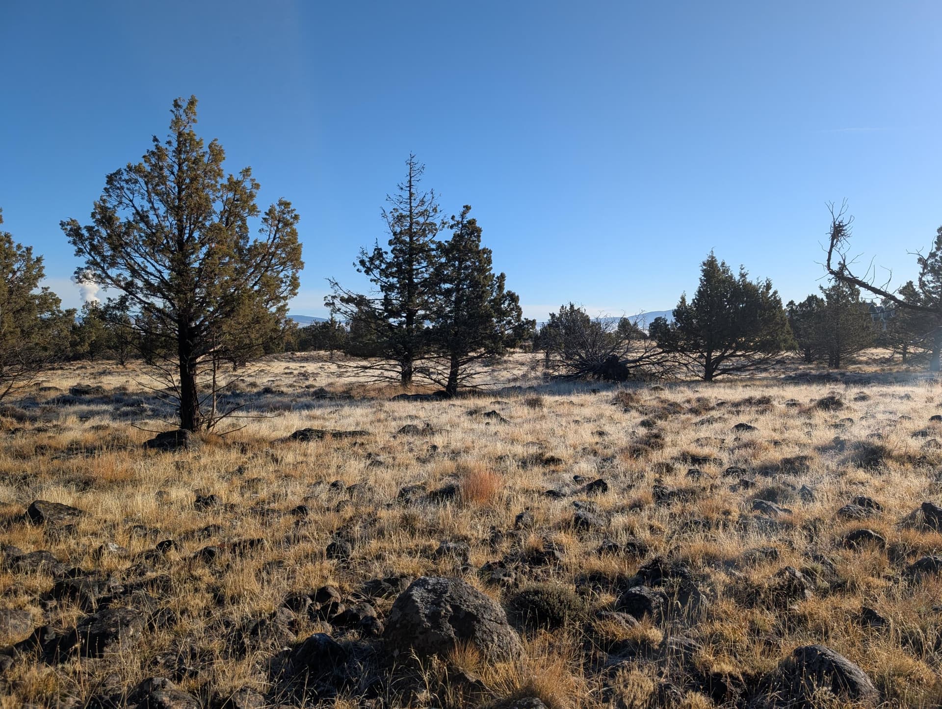 PXL_20251027_161718366.MP. Photo 5 of 24, Cedar Trails Unit Lot 3, Keno, OR 97627