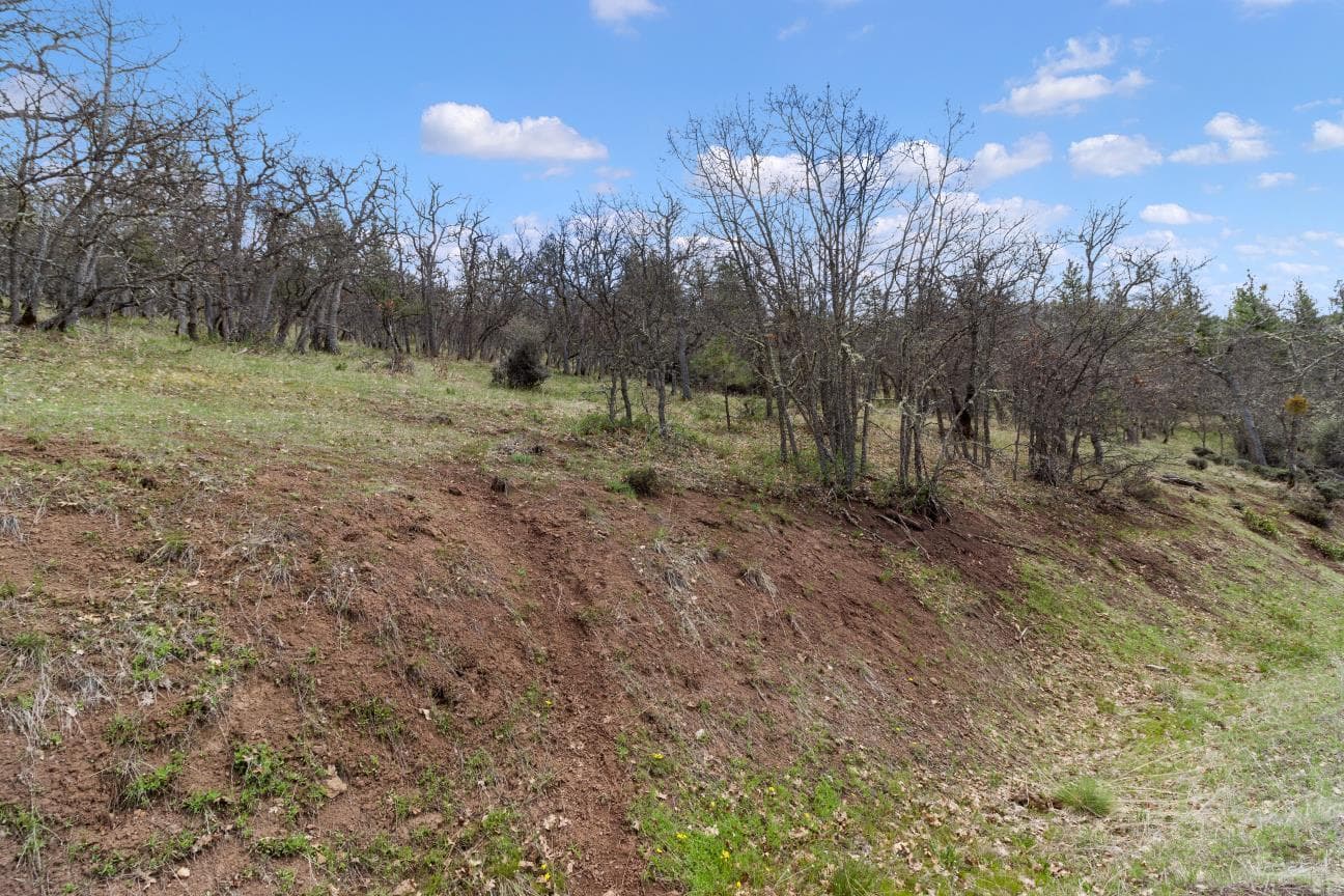 DIM 1 TL 1400. Photo 3 of 17, 0 Dead Indian Memorial Road Unit 1400, Ashland, OR 97520