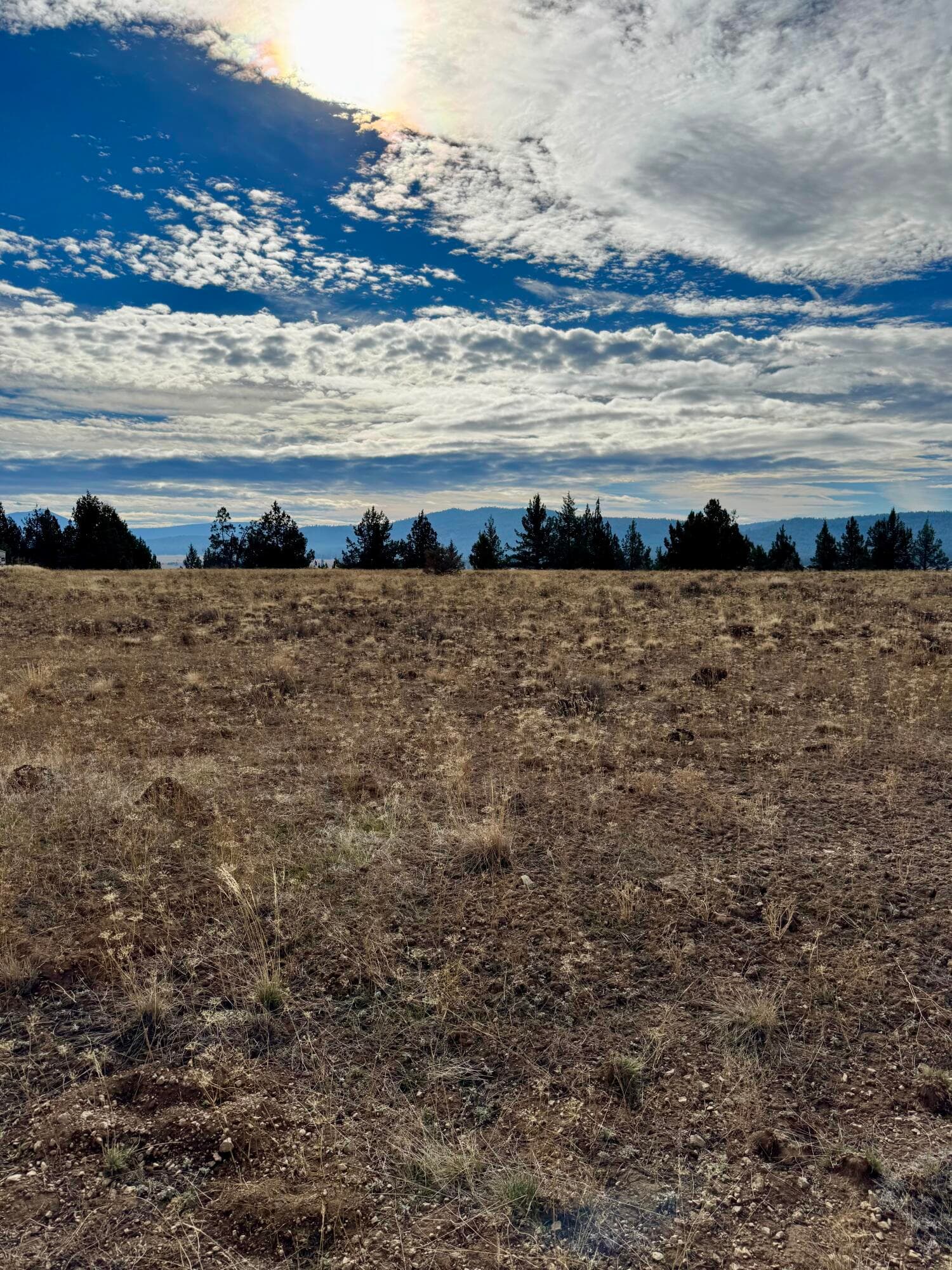 IMG_5914. Photo 1 of 6, Lot 89 Rim, Chiloquin, OR 97624