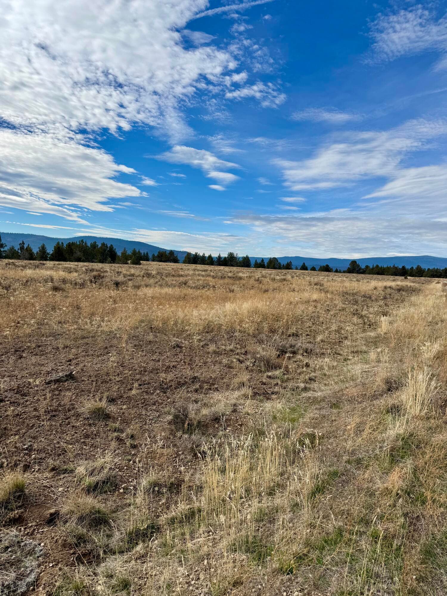 IMG_5916. Photo 2 of 6, Lot 89 Rim, Chiloquin, OR 97624