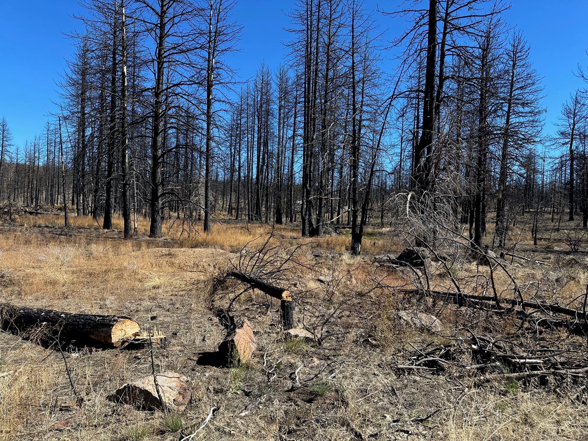 Lot. Photo 1 of 1, Cardinal Drive Unit Lot 2100, Bonanza, OR 97623