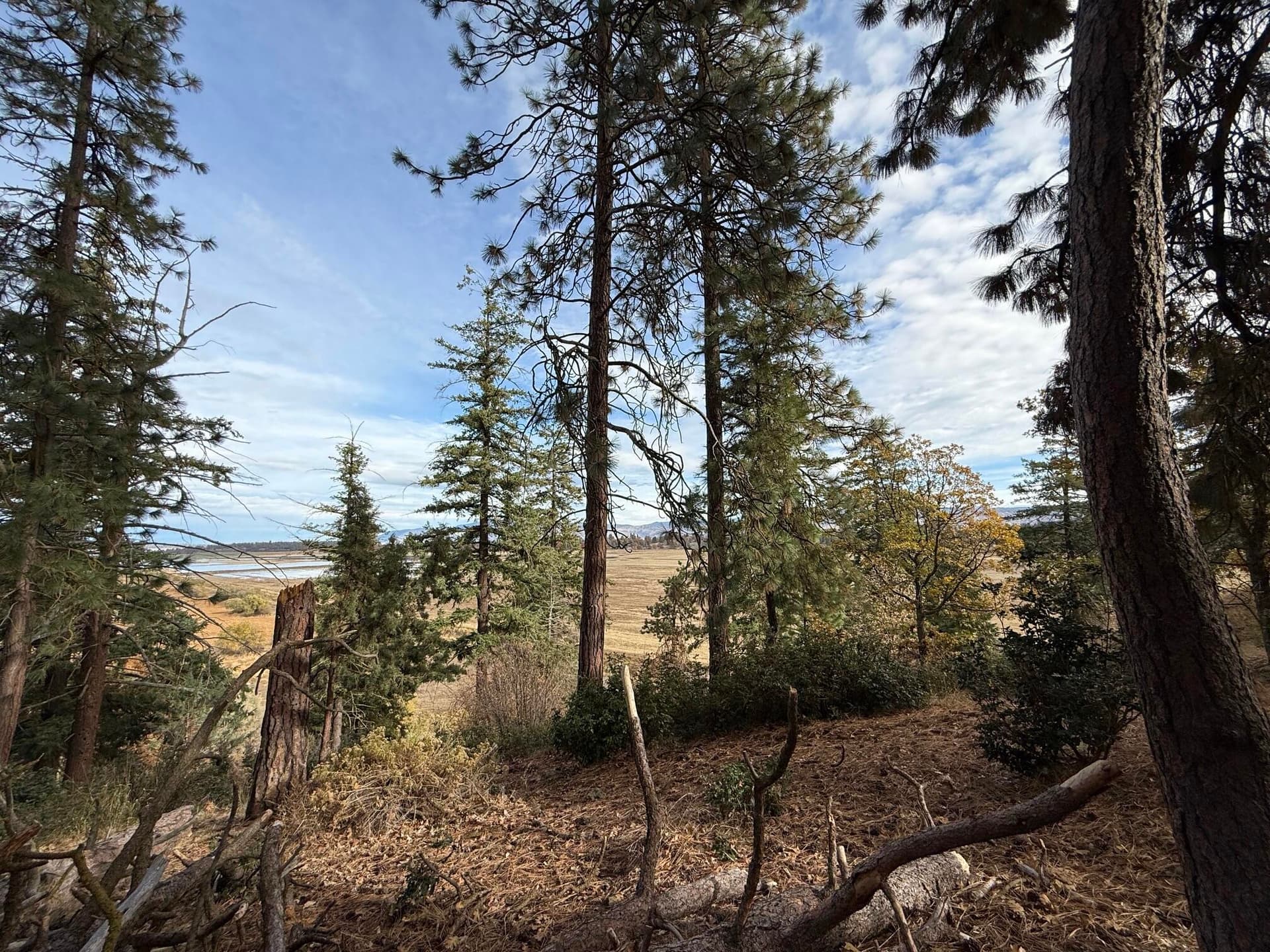 Lot 152. Photo 5 of 33, Kestrel Road Unit Lot 152, Klamath Falls, OR 97601