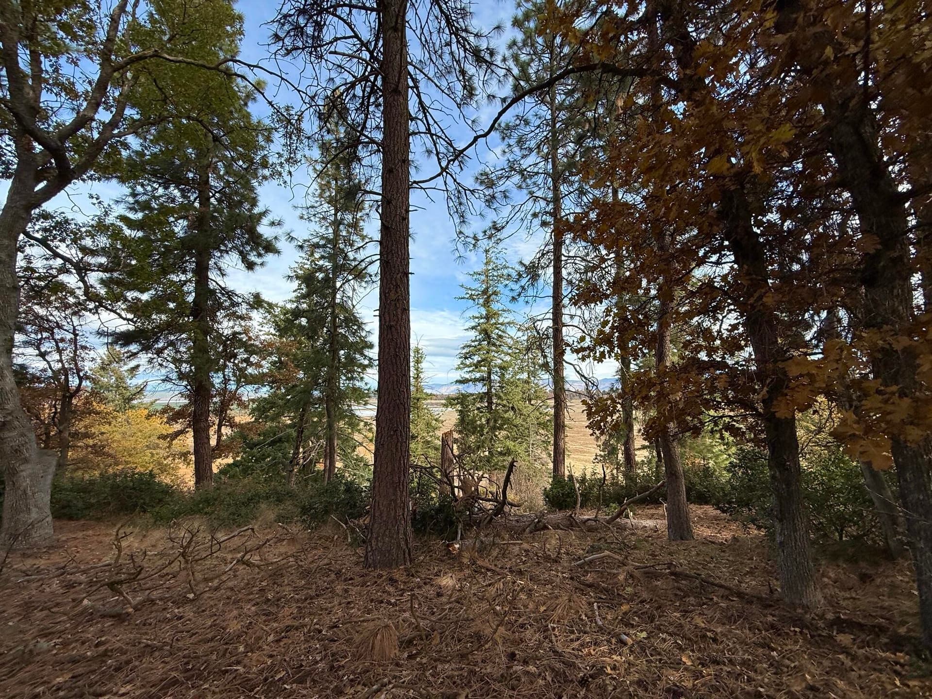 Lot 152. Photo 4 of 33, Kestrel Road Unit Lot 152, Klamath Falls, OR 97601