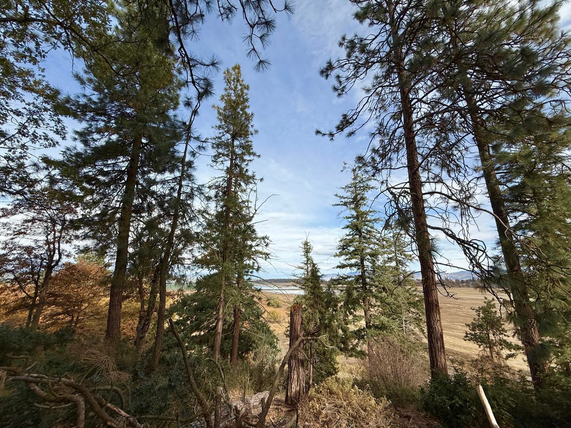 Lot 152. Photo 3 of 33, Kestrel Road Unit Lot 152, Klamath Falls, OR 97601