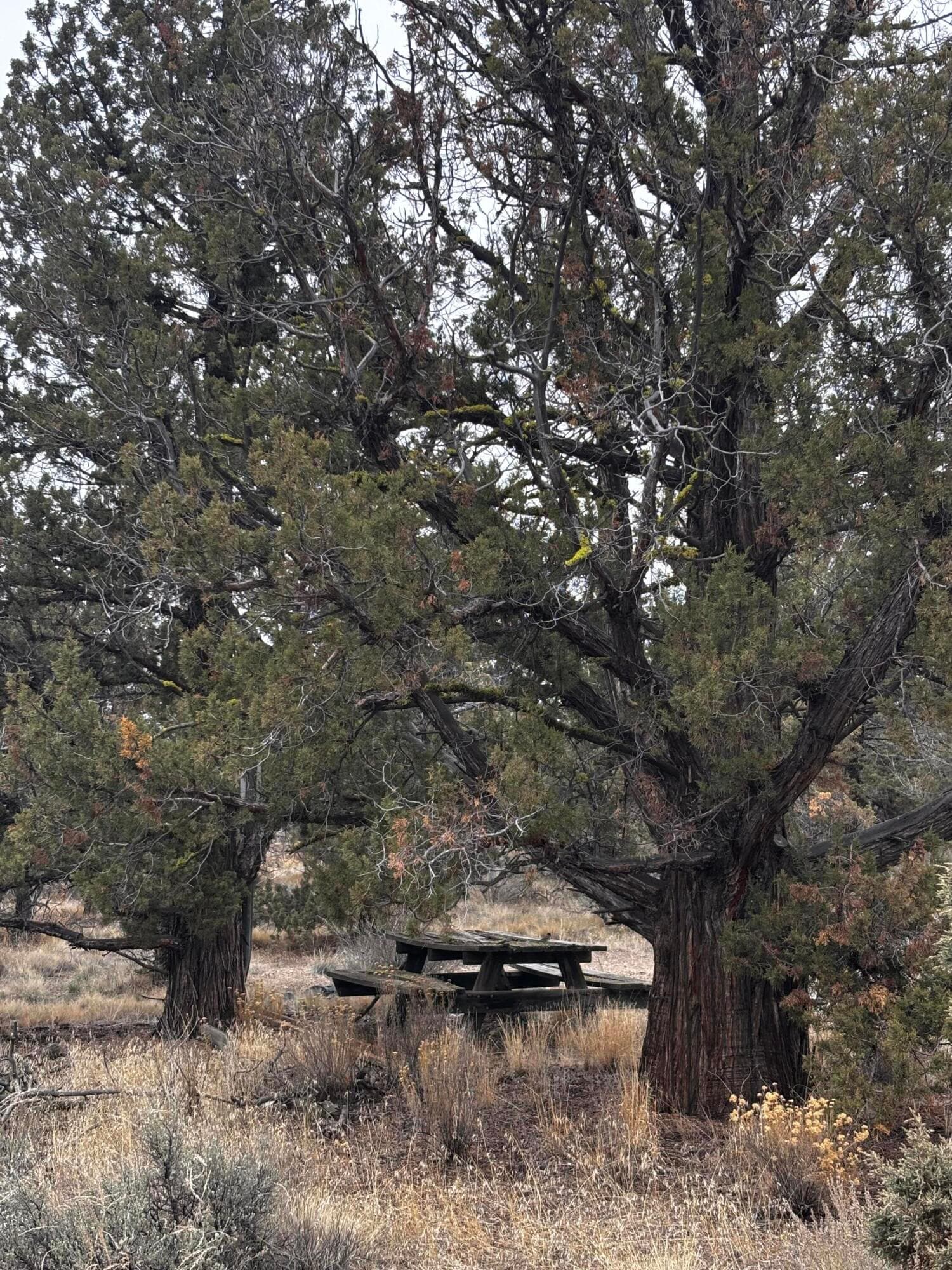 IMG_5713. Photo 5 of 10, 14794 SE Crow Road, Prineville, OR 97754