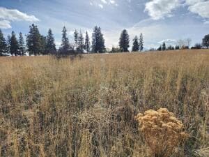 20251110204407677819000000. Photo 1 of 3, Kerry Drive Unit Lot 9, Chiloquin, OR 97624