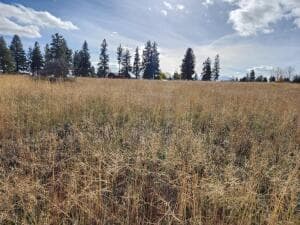 20251110204401512756000000. Photo 2 of 3, Kerry Drive Unit Lot 9, Chiloquin, OR 97624