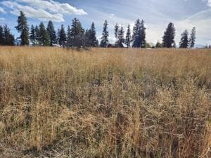 20251110204343644298000000. Photo 3 of 3, Kerry Drive Unit Lot 9, Chiloquin, OR 97624