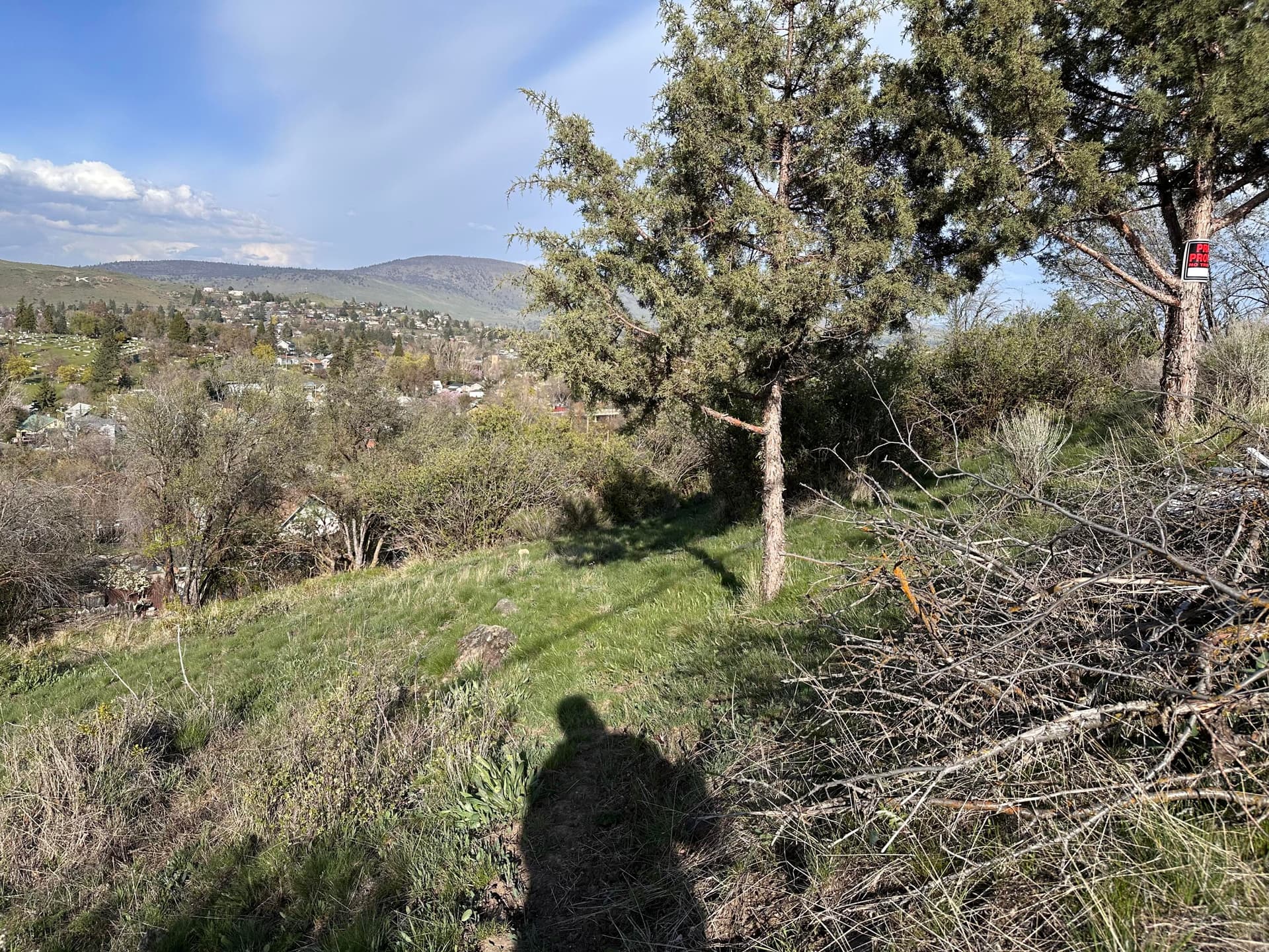 IMG_9458. Photo 5 of 11, Lot 4 & 5 Roosevelt Street, Klamath Falls, OR 97601