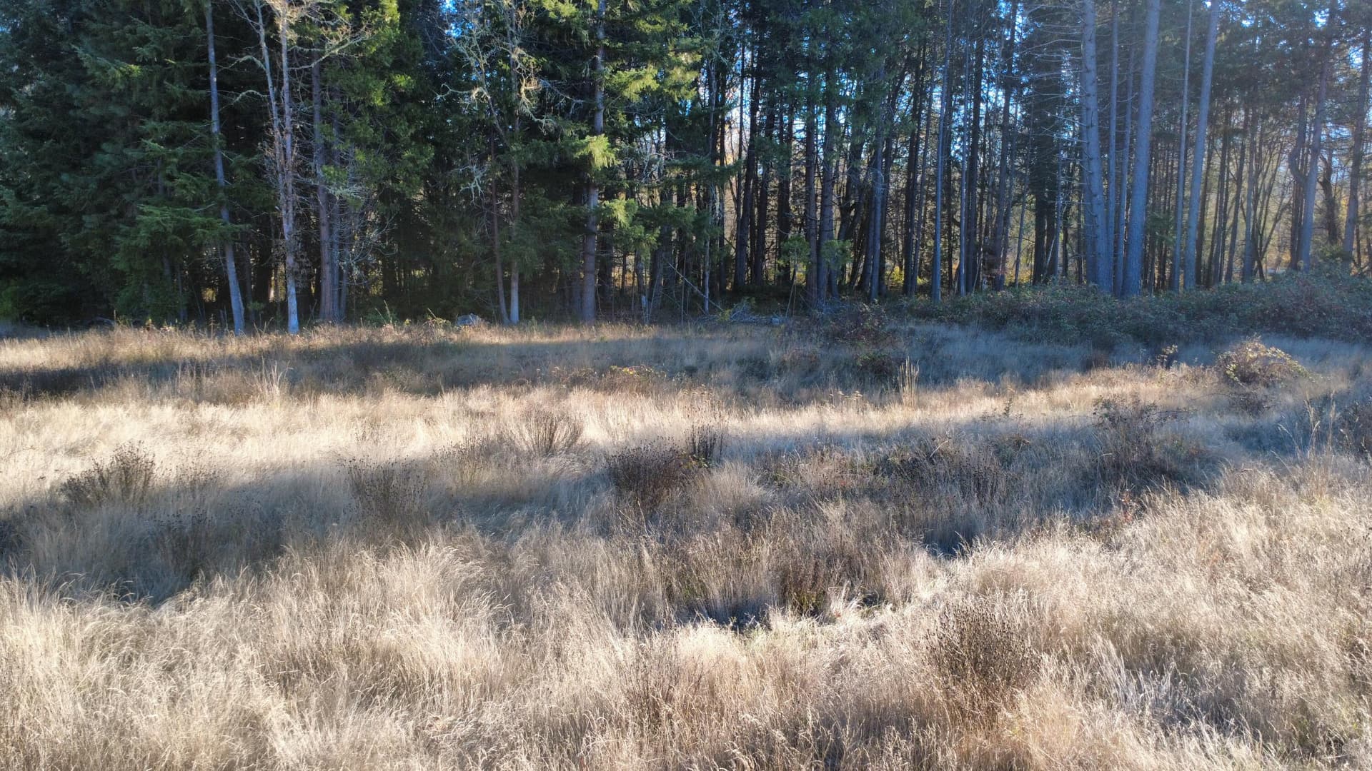 dji_fly_20251115_144742_53_1763247188612. Photo 4 of 19, 188 Pisqually Lane, Azalea, OR 97410