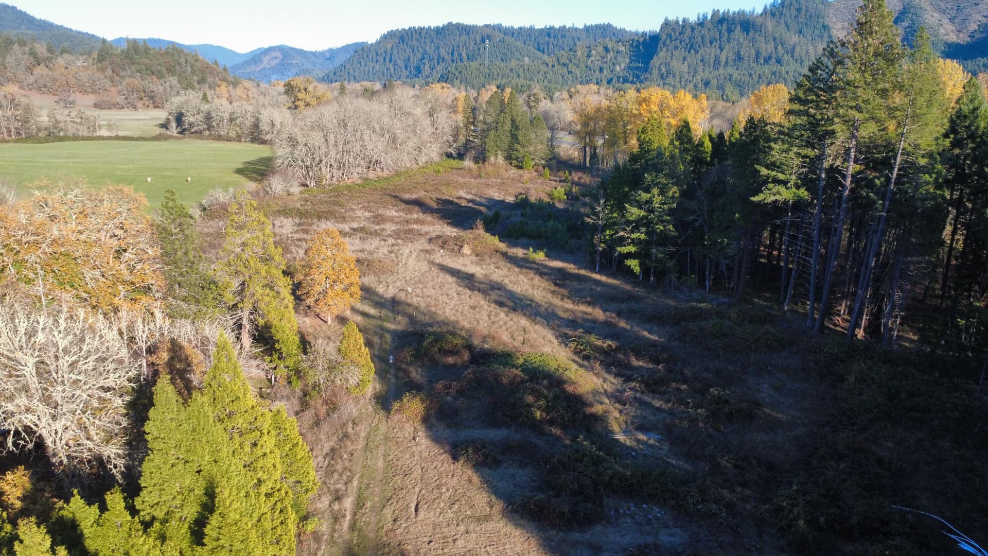 dji_fly_20251115_145340_61_1763247227139. Photo 5 of 19, 188 Pisqually Lane, Azalea, OR 97410