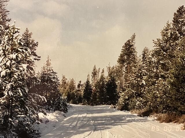Bear flat pic. Photo 3 of 8, 4800 Bear Flat (NF 86), Chemult, OR 97731