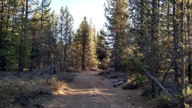 bear flat pic 2. Photo 1 of 8, 4800 Bear Flat (NF 86), Chemult, OR 97731