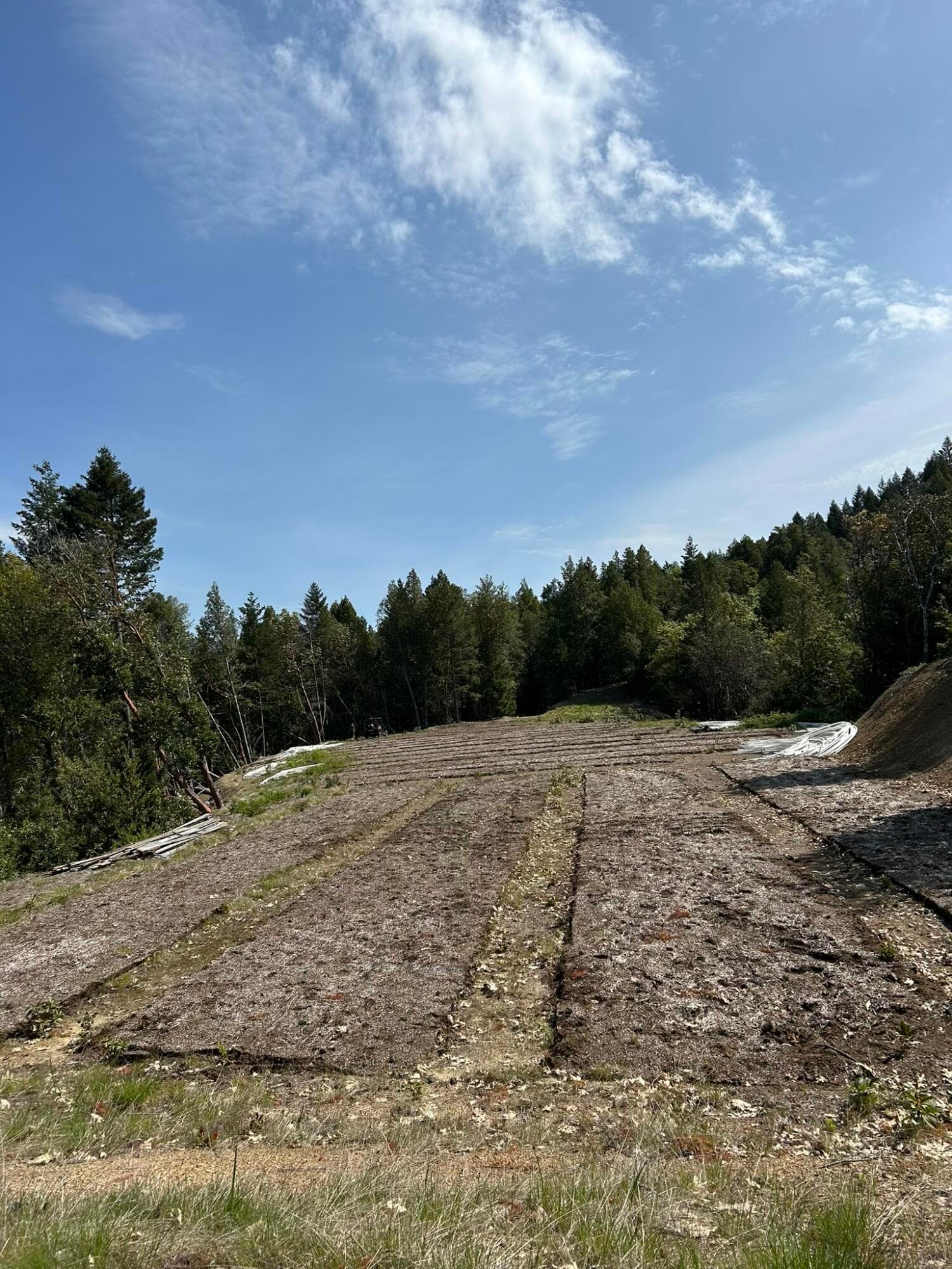 1103R2. Photo 4 of 9, 0 Redwood Highway, O'Brien, OR 97534