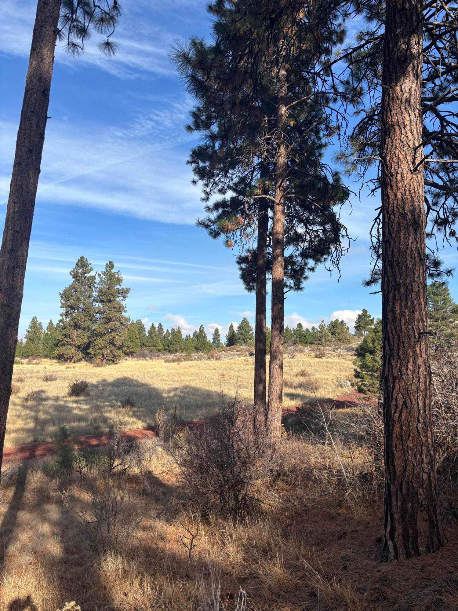 IMG_2735. Photo 5 of 13, Maidu Court, Chiloquin, OR 97624