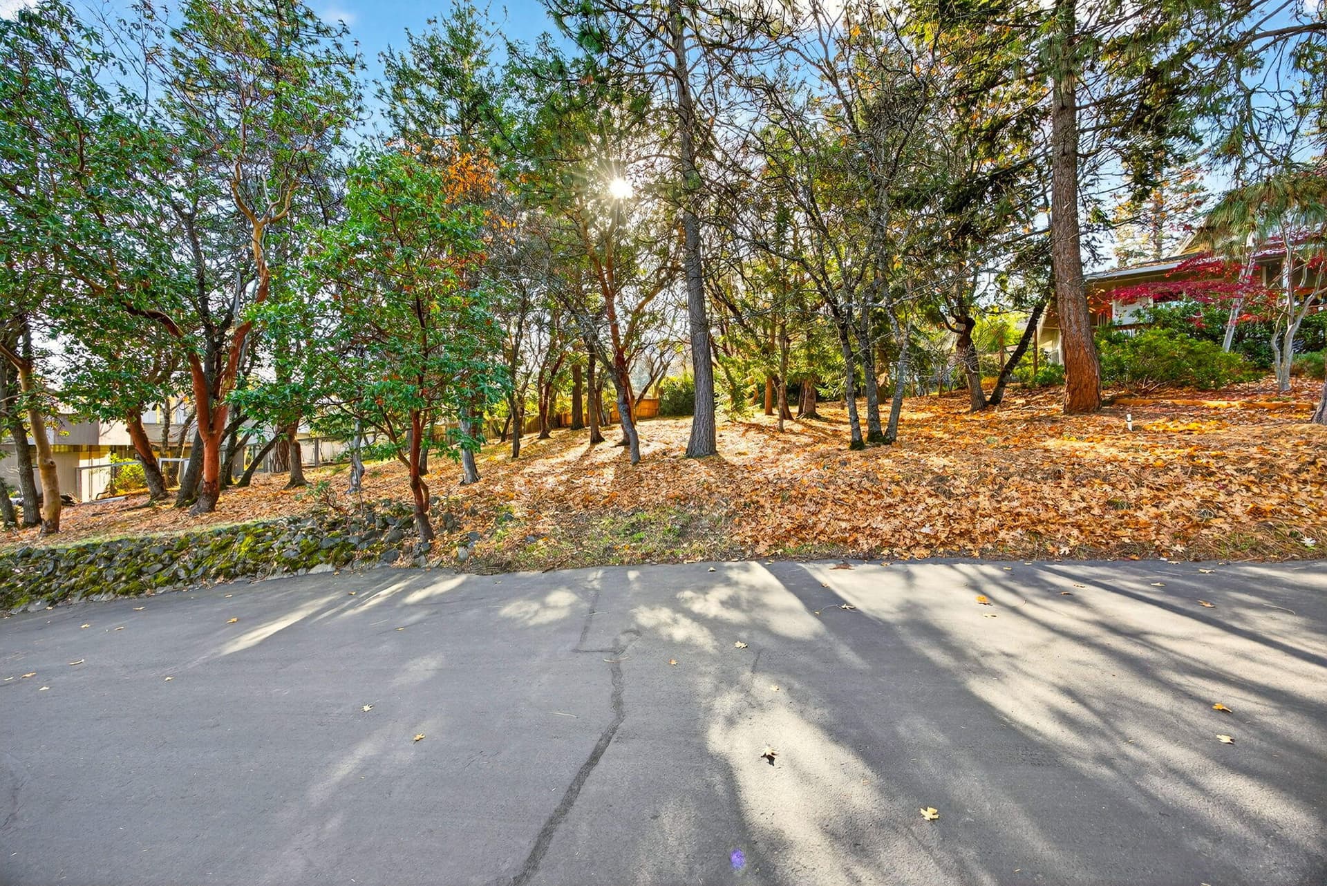 ApxPT00002. Photo 4 of 17, 961 Pinecrest Terrace, Ashland, OR 97520
