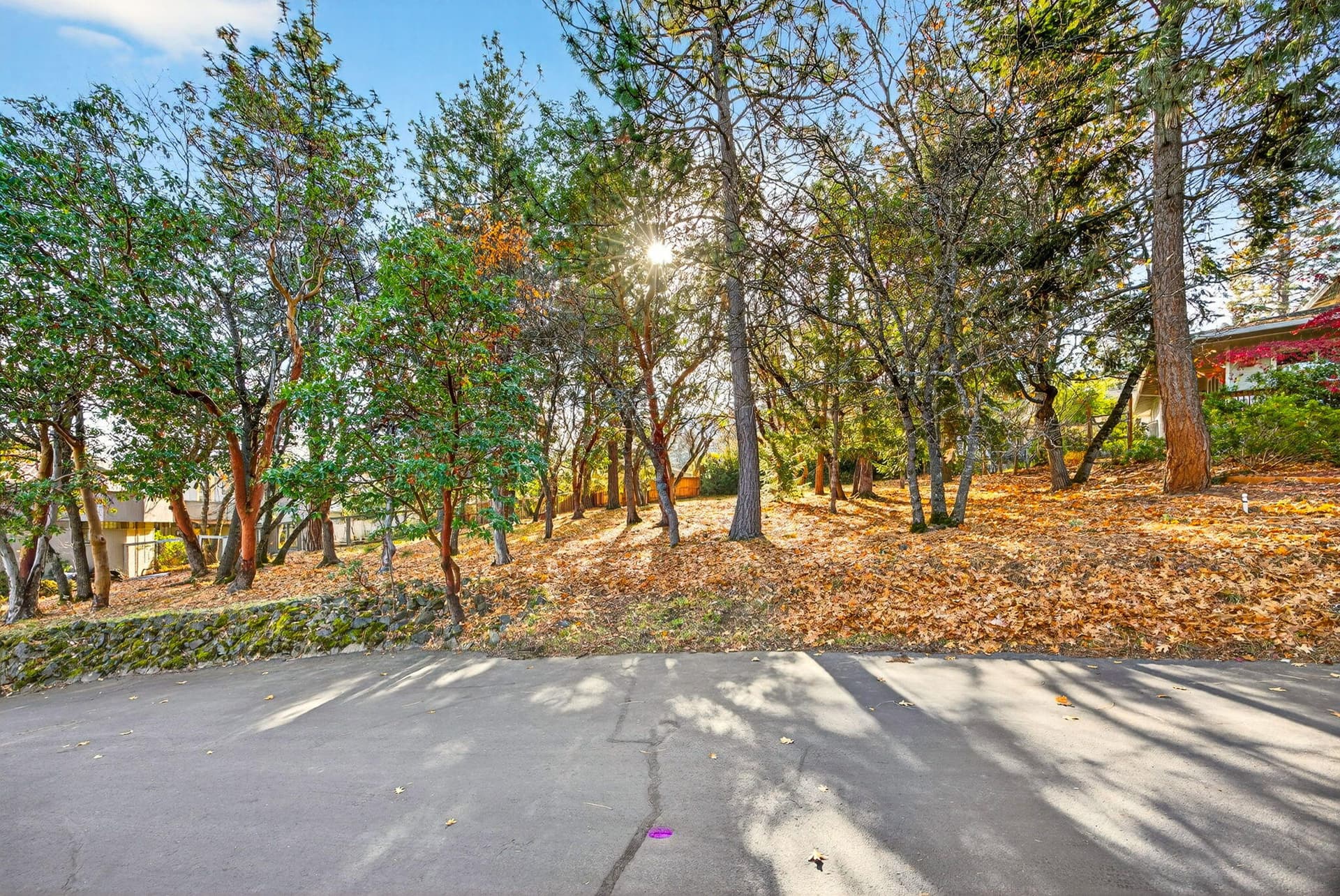 ApxPT00003. Photo 5 of 17, 961 Pinecrest Terrace, Ashland, OR 97520
