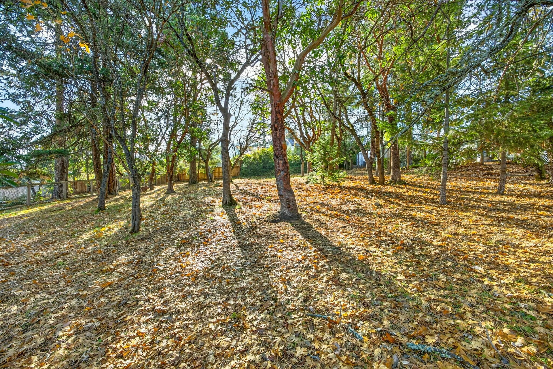 ApxPT00006. Photo 1 of 17, 961 Pinecrest Terrace, Ashland, OR 97520