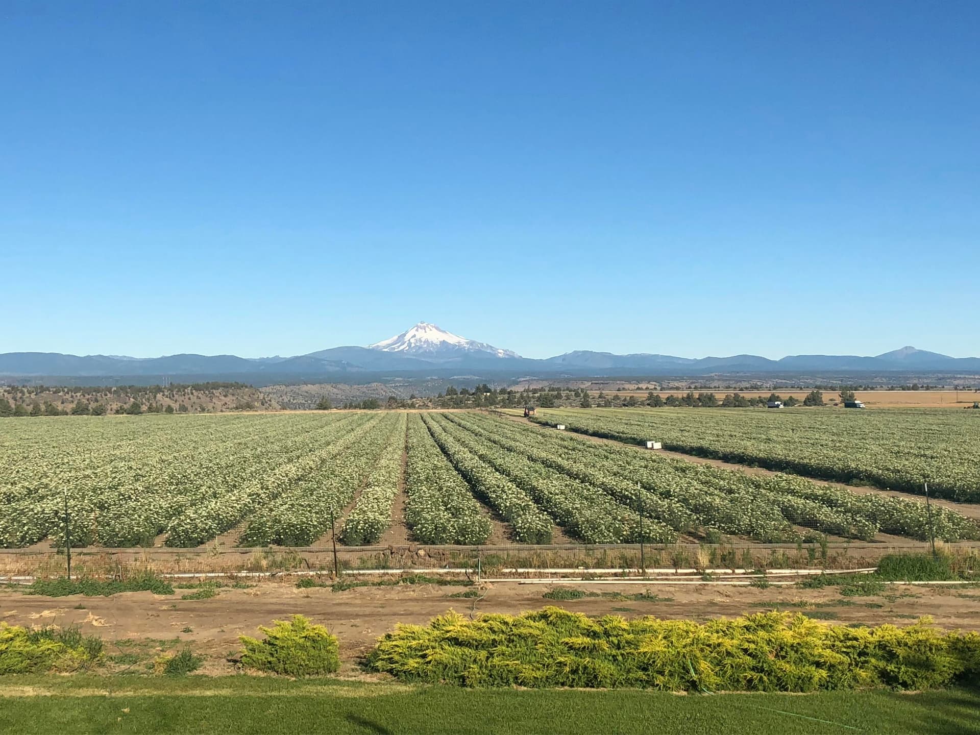 IMG_5442. Photo 1 of 49, 2490 NW Deschutes Drive, Madras, OR 97741