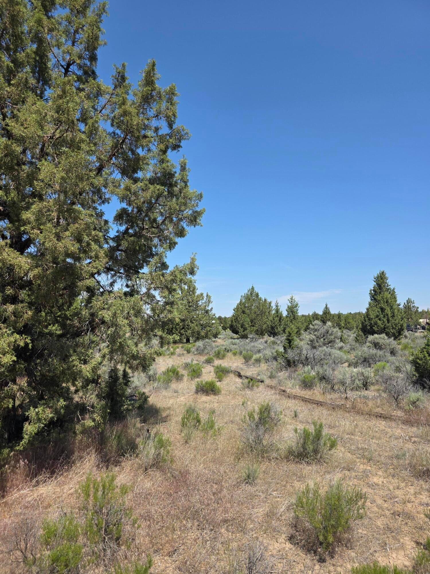 IMG_3679. Photo 3 of 5, 3449 SE Teton Road Unit Lot 11, Prineville, OR 97754