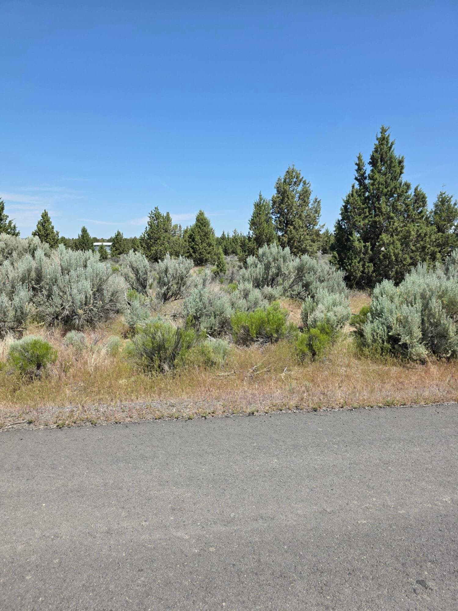 IMG_3681. Photo 1 of 5, 3449 SE Teton Road Unit Lot 11, Prineville, OR 97754