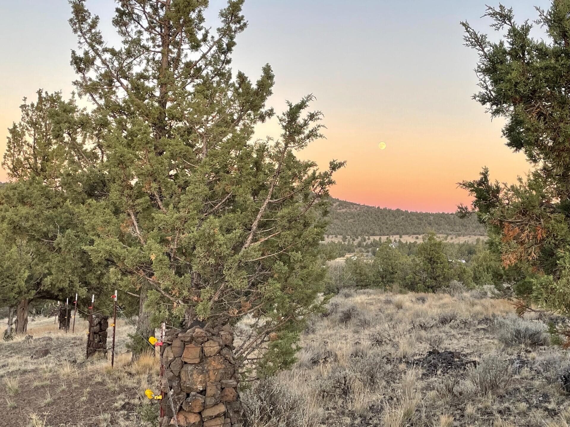 thumbnail_IMG_0418. Photo 3 of 9, 14751 SE Browning Street, Prineville, OR 97754