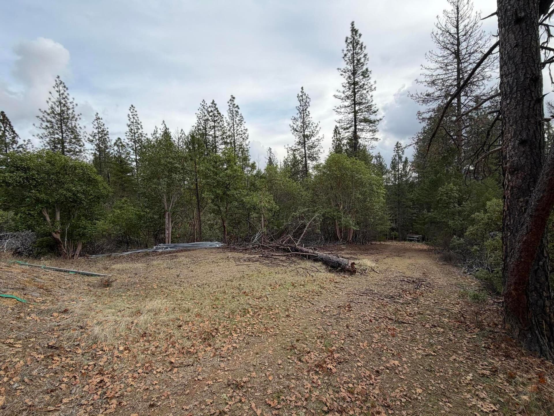 IMG_0243. Photo 4 of 11, 0 E Evans Creek Road Unit 10149540, White City, OR 97503