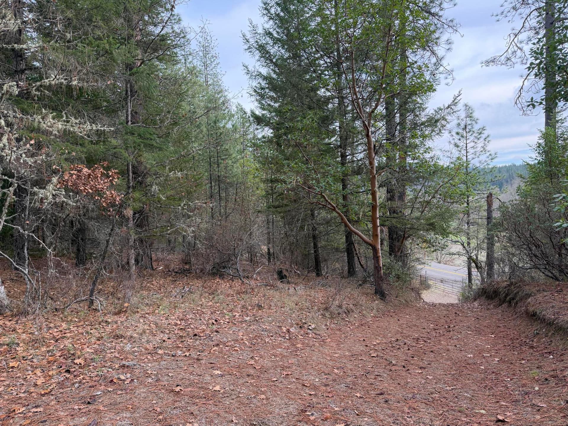 IMG_0248. Photo 3 of 11, 0 E Evans Creek Road Unit 10149540, White City, OR 97503