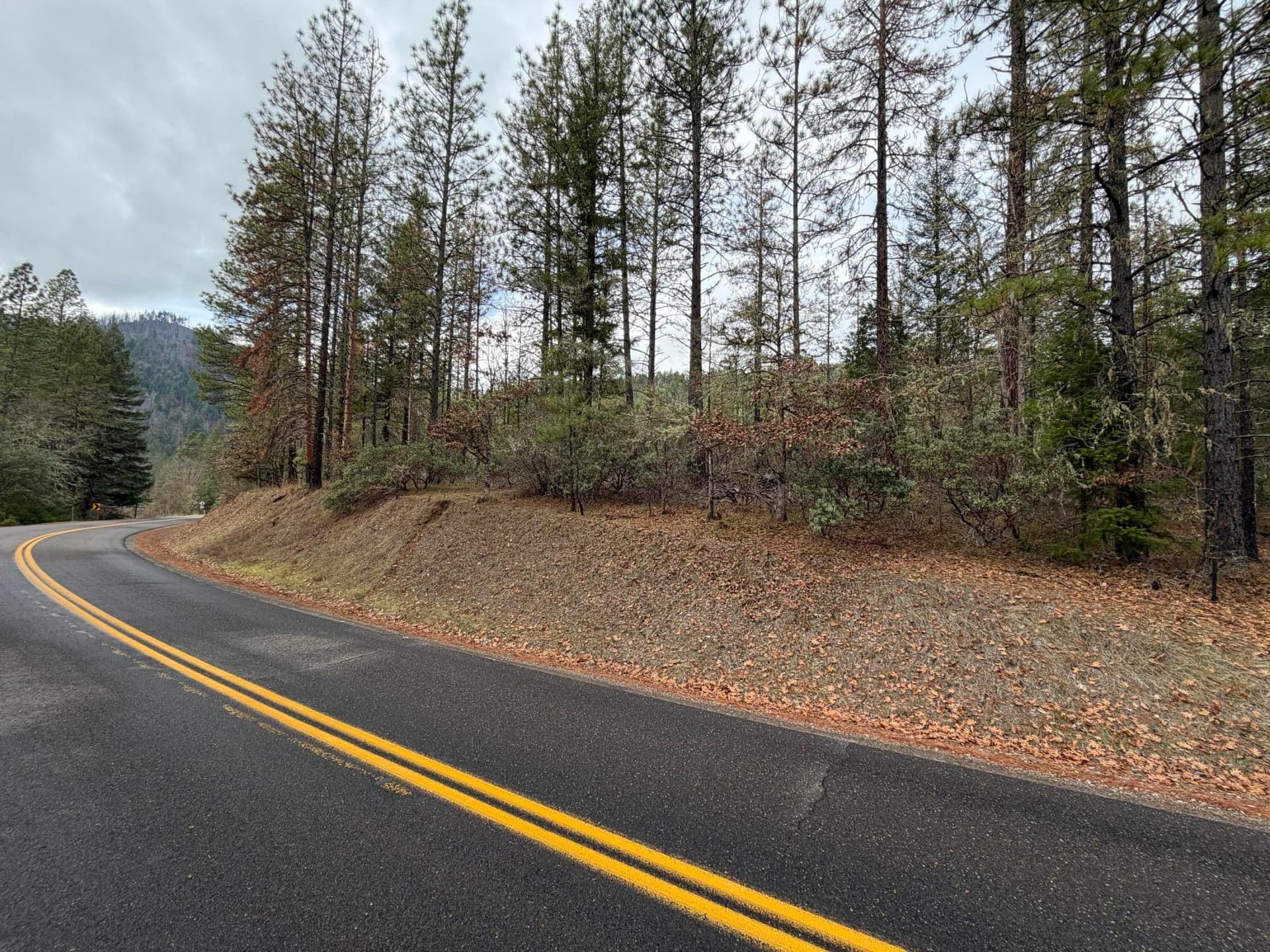 IMG_0257. Photo 1 of 12, 0 E Evans Creek Road Unit 10149531, White City, OR 97503