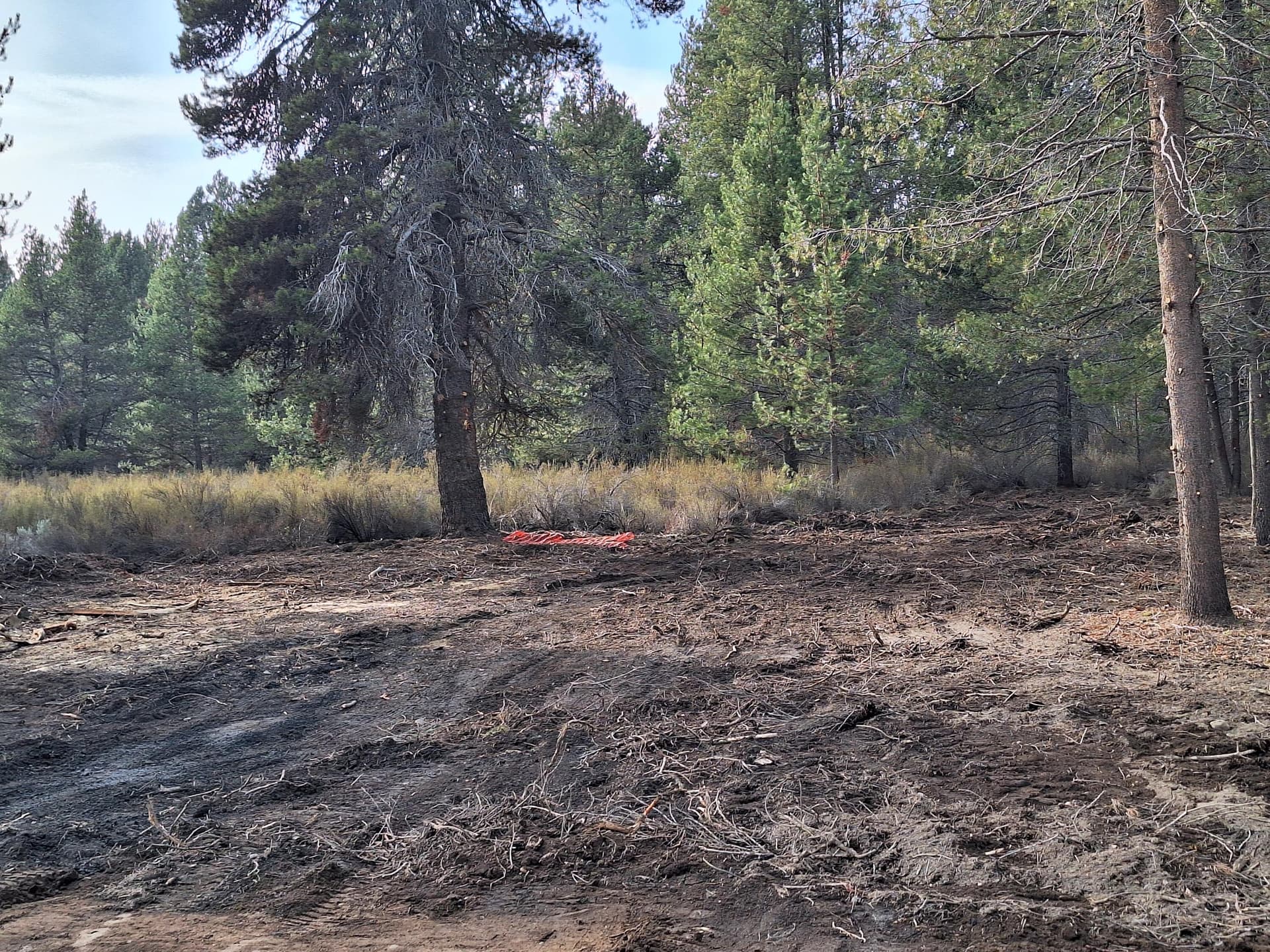 20251123_133351. Photo 2 of 6, Brook Trout Lane Unit Block 6 Lot 3, Chiloquin, OR 97624