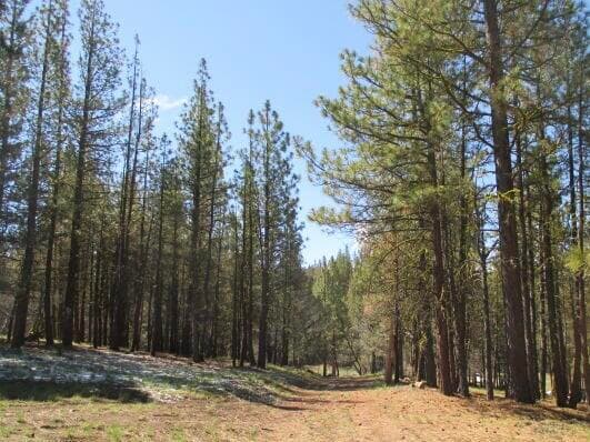 Landscape 1. Photo 2 of 7, Partin Drive Unit 2, Beatty, OR 97621