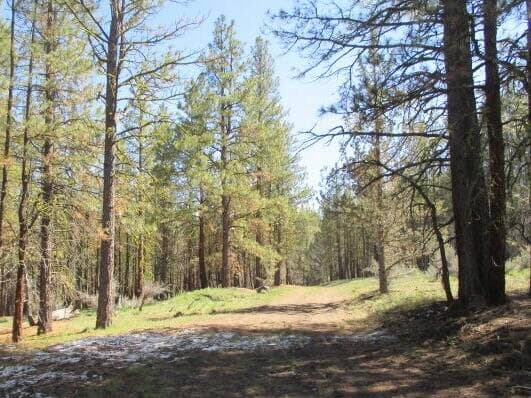 Landscape 2. Photo 1 of 7, Partin Drive Unit 2, Beatty, OR 97621