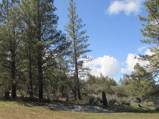 Landscape 3. Photo 3 of 7, Partin Drive Unit 2, Beatty, OR 97621