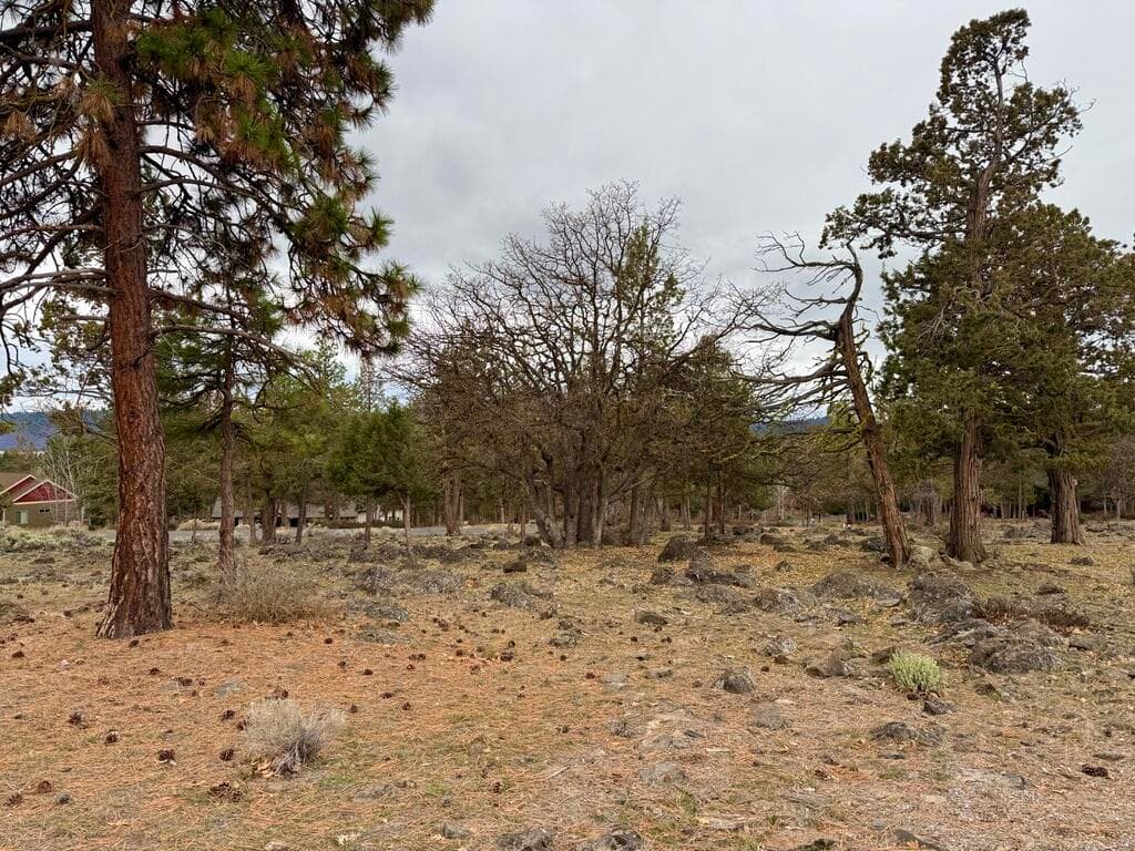 Lot 533. Photo 3 of 30, 0 Dowitcher Road Unit Lot 533, Klamath Falls, OR 97601