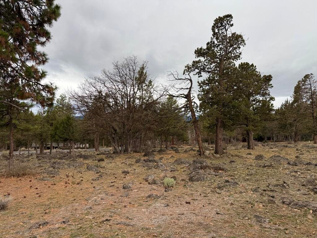 Lot 533. Photo 4 of 30, 0 Dowitcher Road Unit Lot 533, Klamath Falls, OR 97601
