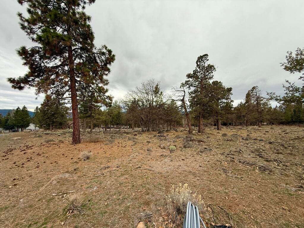 Lot 533. Photo 5 of 30, 0 Dowitcher Road Unit Lot 533, Klamath Falls, OR 97601