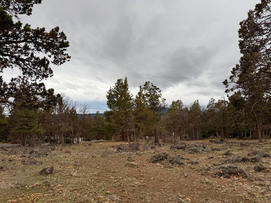 Lot 533. Photo 2 of 30, 0 Dowitcher Road Unit Lot 533, Klamath Falls, OR 97601